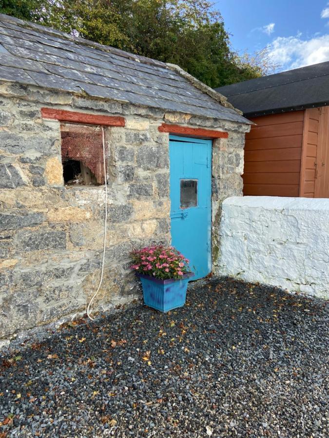 Katie'S Cottage Limerick Junction Екстериор снимка